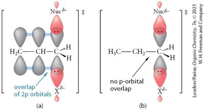 Transition state stabilization in SN2 reactions