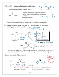 General structure and stereochemistry of amino acids