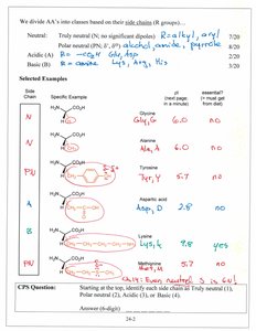 Classification of amino acids by side chain properties