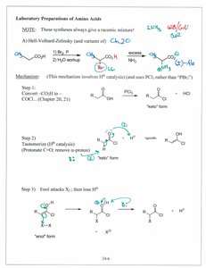 Hell-Volhard-Zelinsky synthesis of amino acids