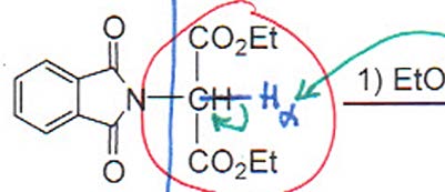 Gabriel synthesis step 1: alkylation