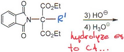 Gabriel synthesis step 3: hydrolysis of ester to carboxylic acid