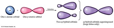 sp hybridization