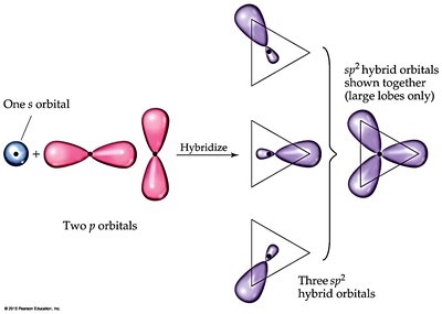 sp2 hybridization