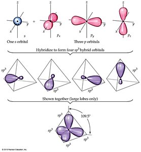 sp3 hybridization