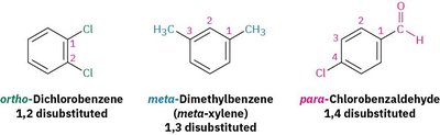 Examples of ortho, meta, para disubstituted benzenes