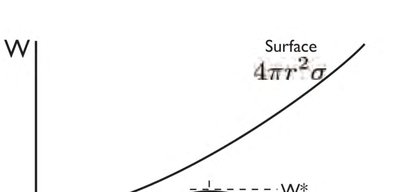 Surface energy curve