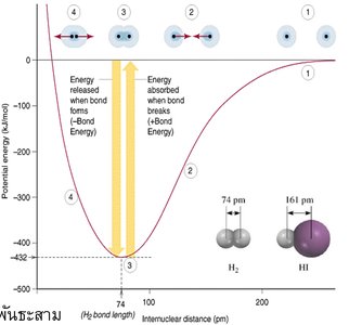 VSEPR for four electron pairs