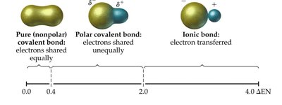 Molecular dipole moments