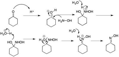 Mechanism for acid-catalyzed oxime formation