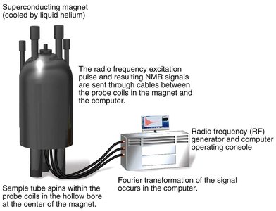 Diagram of NMR instrument setup