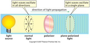 Plane-polarized light