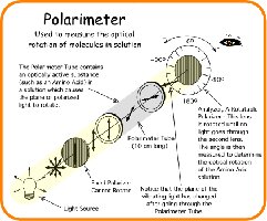 Polarimeter diagram