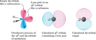Orbital structure of methylene carbene
