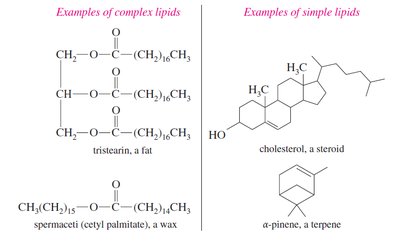 Examples of complex and simple lipids