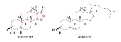 Structures of androsterone and cholesterol