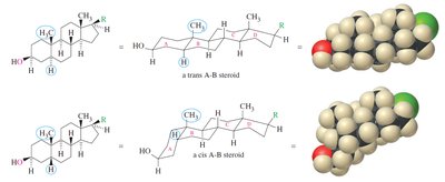 Cis and trans A-B ring junctions in steroids