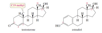 Testosterone and estradiol structures