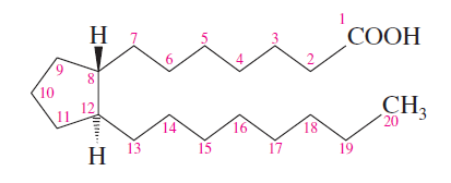 Prostaglandin structure and numbering