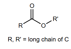 General structure of a wax ester