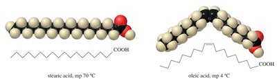 Comparison of stearic and oleic acid structures and packing