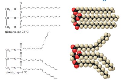 Packing of saturated and unsaturated triglycerides