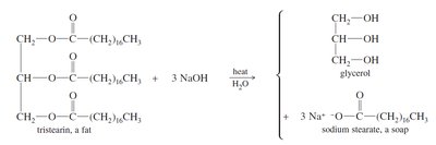 Saponification reaction of tristearin