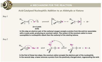 Acid-catalyzed nucleophilic addition mechanism