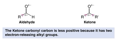 Electrophilicity of aldehyde vs ketone carbonyl carbon