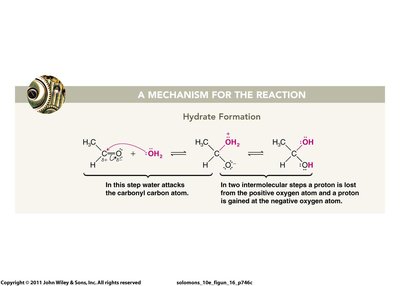 Mechanism of hydrate formation