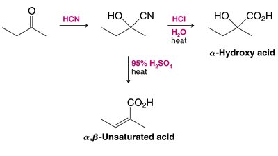 Cyanohydrin formation and hydrolysis