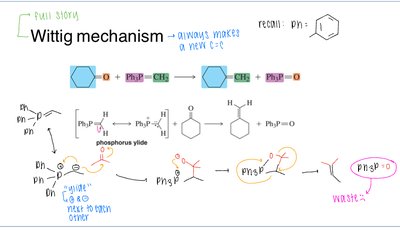 Wittig reaction mechanism