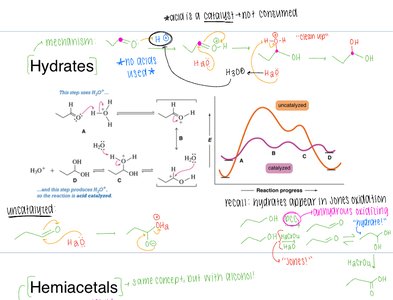 Hydrate formation mechanism and catalysis