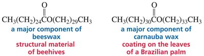 Structures of major wax components