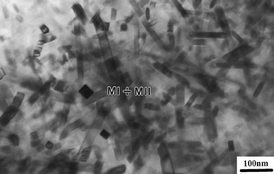 TEM image of ceramic microstructure showing MI + MII phases