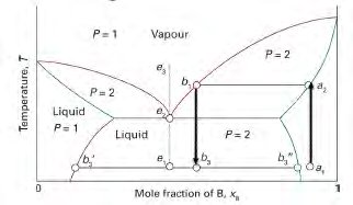 Binary phase diagram for an immiscible system showing eutectic point