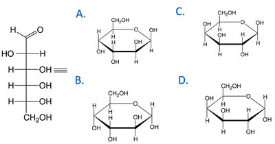 Haworth projections of glucose derivatives