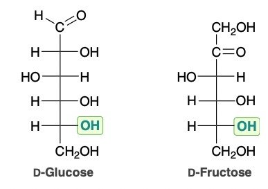 Fischer projections of D-glucose and D-fructose