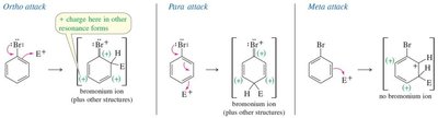 Resonance structures for ortho, para, and meta attack