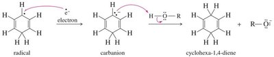Birch reduction mechanism, carbanion formation