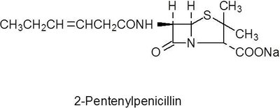 Firefly and luciferin molecule