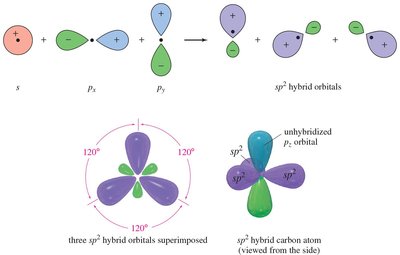 Formation of sp2 hybrid orbitals