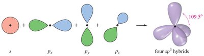 Formation of sp3 hybrid orbitals