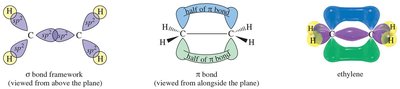 Sigma and pi bonding in ethylene