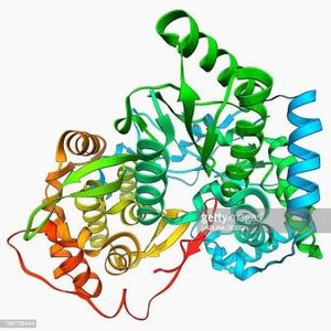 Protein structure ribbon diagram