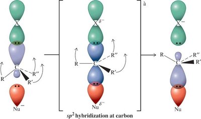 SN2 transition state orbital picture