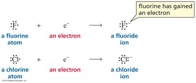 Halogens gain electrons