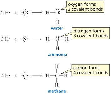 Bonding in methane, ammonia, and water
