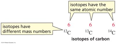Isotopes of carbon