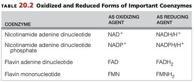 Table of oxidized and reduced coenzymes